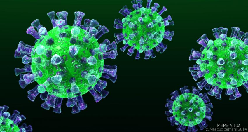 49Mers-virus-3D-image.jpg