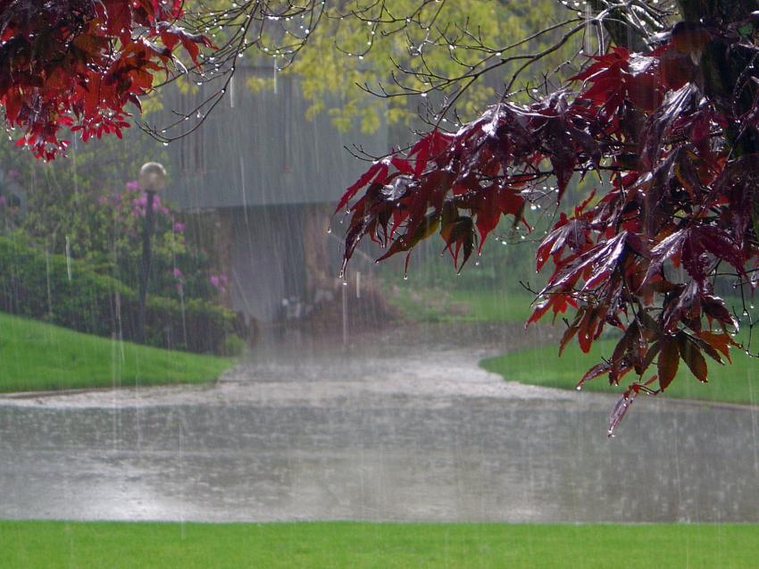 45rain-in-park.jpg