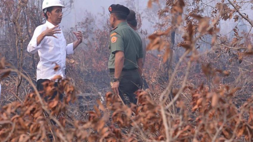 2jokowi_kebakaran_hutan.jpg