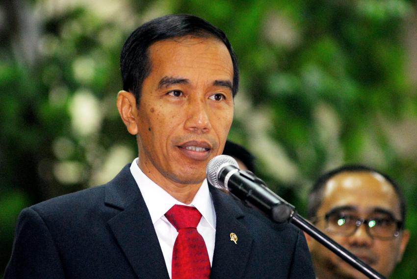 48Jokowi-indra.jpg