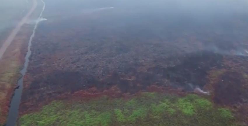 30hutan-terbakar1.jpg