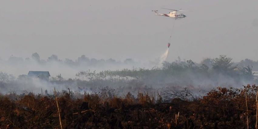 1singapura-desak-ri-umumkan-daftar-perusahaan-pembakar-hutan.jpg