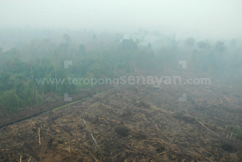 97KABUT_ASAP_6.jpg