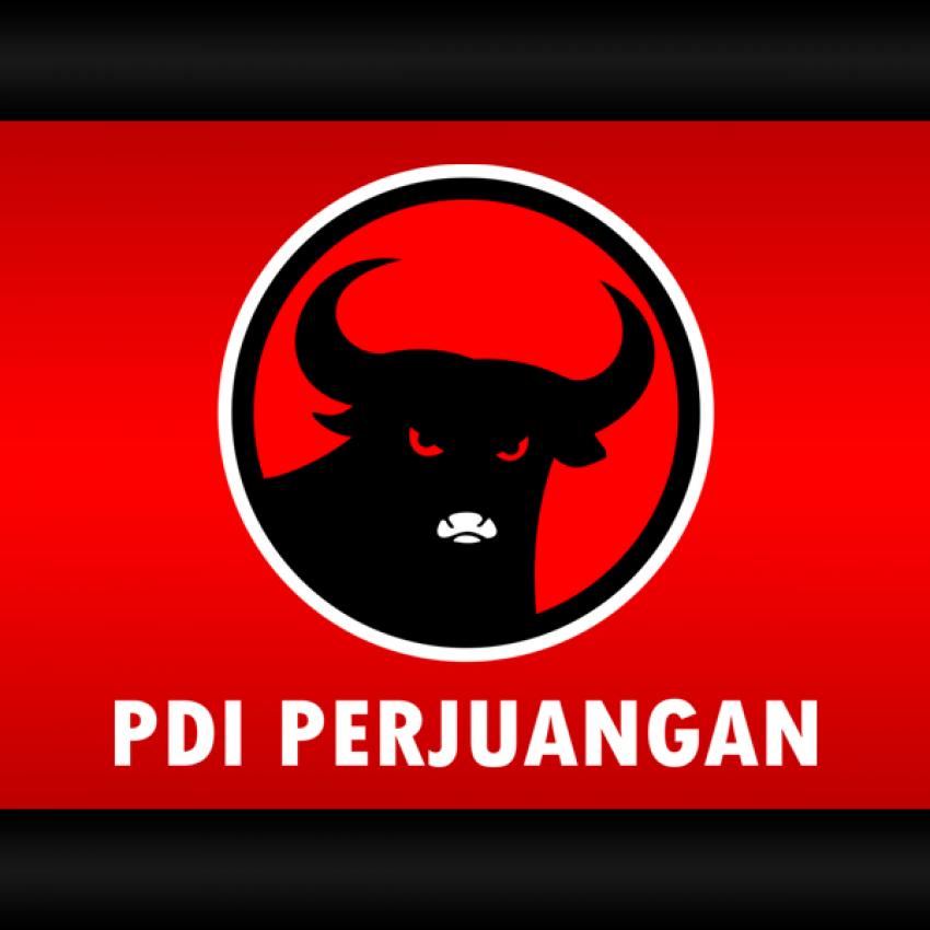 57pdip1.jpeg