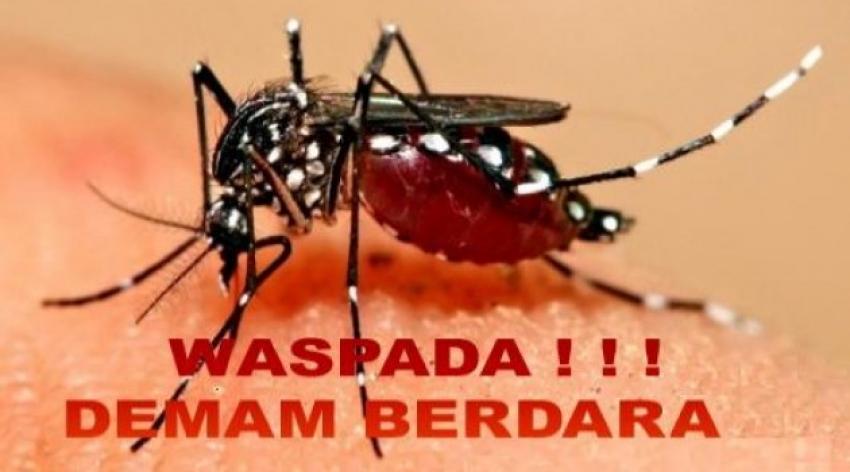92nyamuk-demam-berdarah.jpg