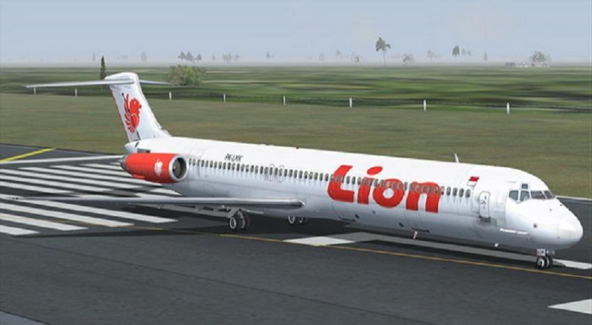 73lion.jpg