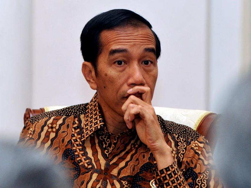 10Jokowi-2.jpg