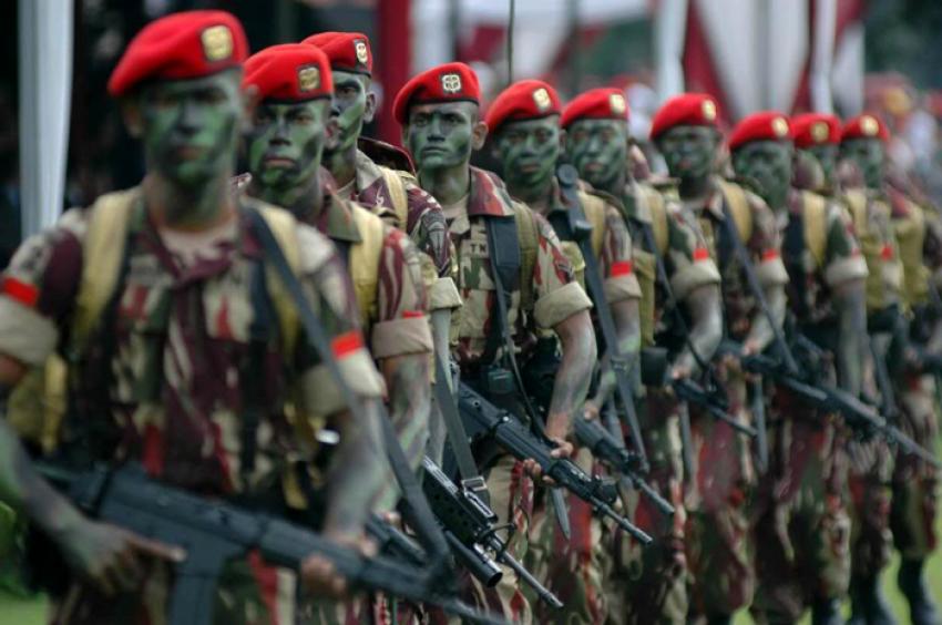 75TNI.jpg