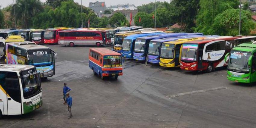 50bus.jpg