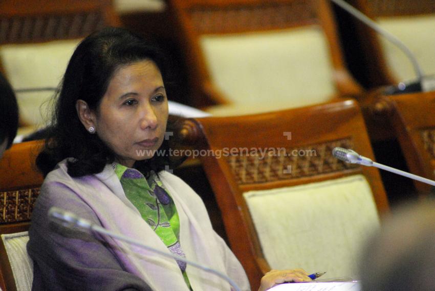 74BUMN-KOMISI6_3.jpg