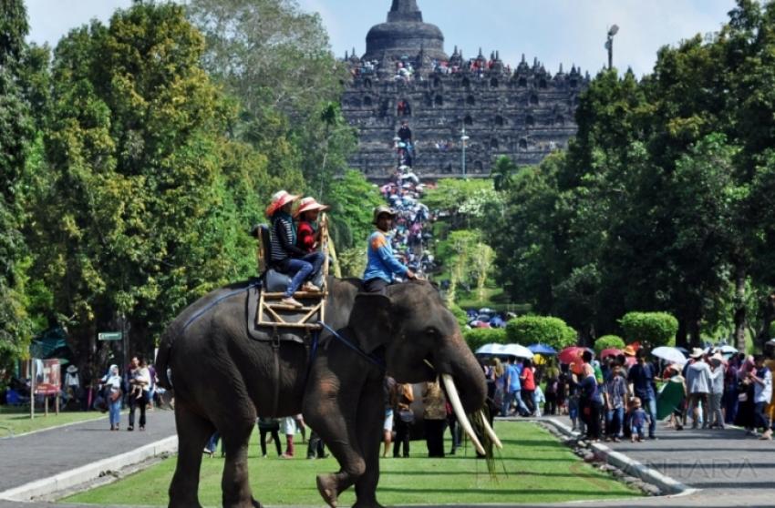 34naikgajahborobudur.jpg