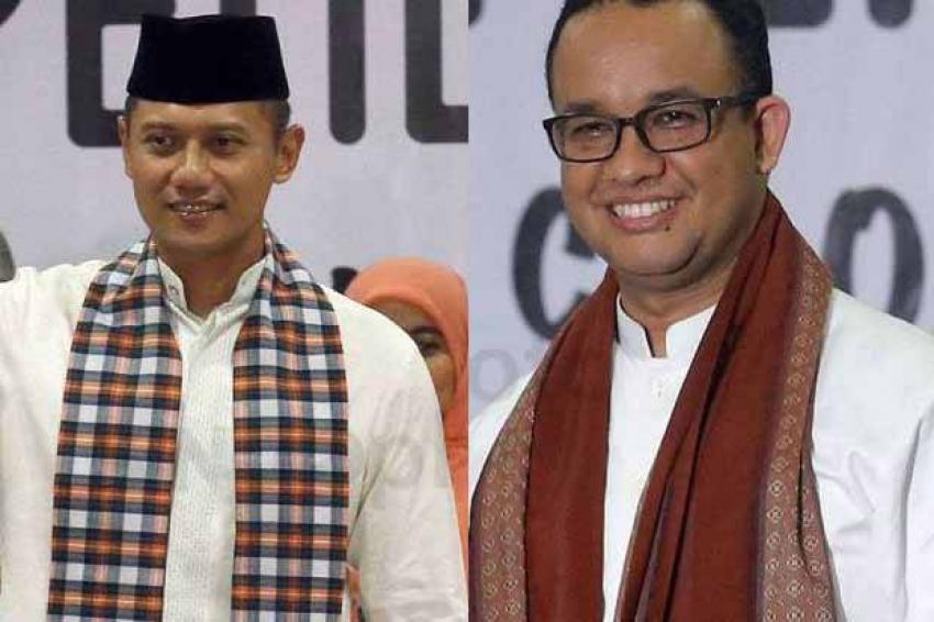 12anies.jpg