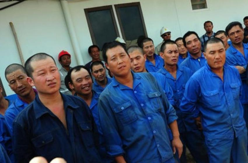 62Pekerja-China2.jpg
