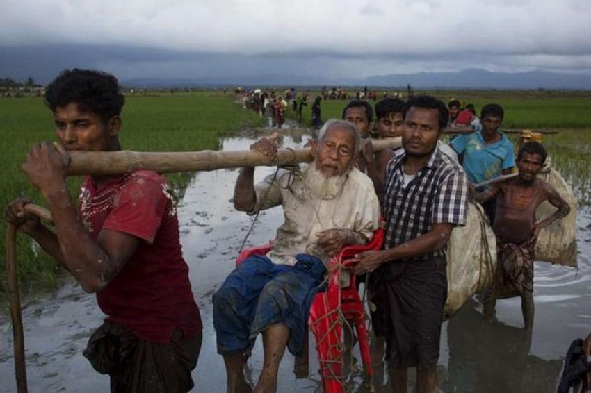 39pengungsirohingya.jpg