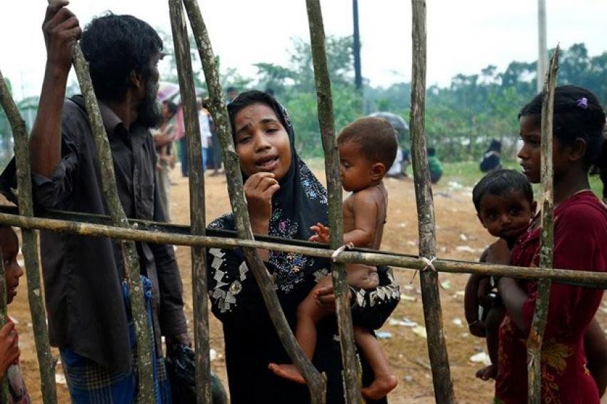 82pengungsirohingya4.jpg