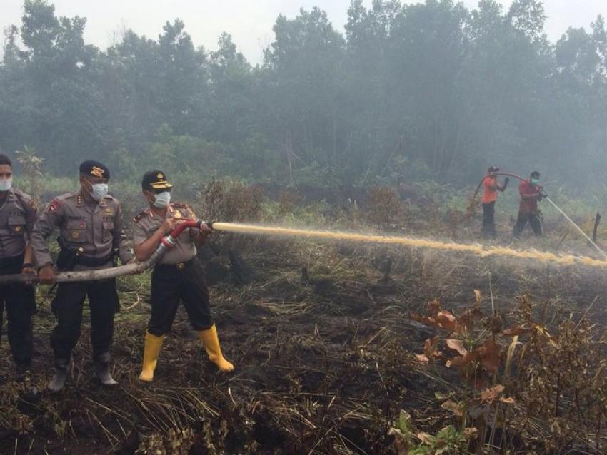 3420160811215409-2-polisi-dan-tni-padamkan-kebakaran-hutan-di-pekanbaru-001-wisnoe-moerti.jpg