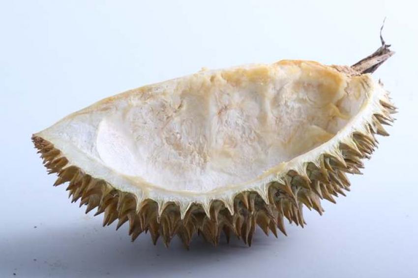 60Fakta-Unik-Kulit-Durian-Ini-Bikin-Takjub.jpg
