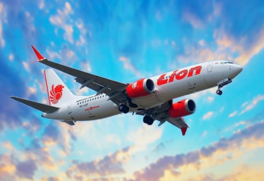 4lionair2.jpg.jpg