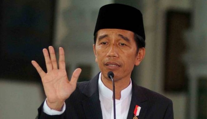 91jokowiokeee.jpg.jpg